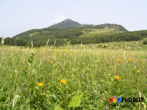 门头沟团建-百花山自然风景区