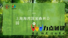 上海海湾国家森林公园-上海团建公司