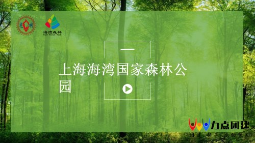 上海海湾国家森林公园-上海团建公司