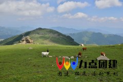 东灵山.webp.jpg