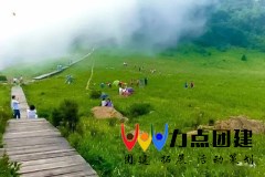 百花山2.webp.jpg