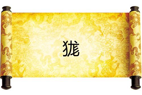 狵