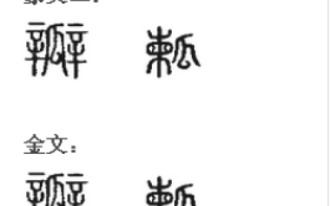 瓣